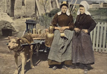 Milk Seller in Antwerp